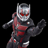 Marvel Legends Series Ant-Man & the Wasp: Quantumania Ant-Man 6" Inch Action Figure - Hasbro