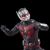 Marvel Legends Series Ant-Man & the Wasp: Quantumania Ant-Man 6" Inch Action Figure - Hasbro