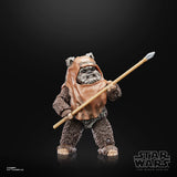 Star Wars The Black Series Return of the Jedi 40th Anniversary Wicket the Ewok 6" Inch Action Figure - Hasbro
