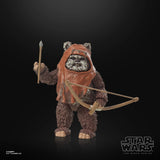 Star Wars The Black Series Return of the Jedi 40th Anniversary Wicket the Ewok 6" Inch Action Figure - Hasbro