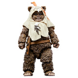 Star Wars The Black Series Return of the Jedi 40th Anniversary Paploo the Ewok 6" Inch Action Figure - Hasbro