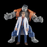 Marvel Legends Series Gray Hulk and Dr. Bruce Banner (2 Pack) 6" Inch Action Figures - Hasbro