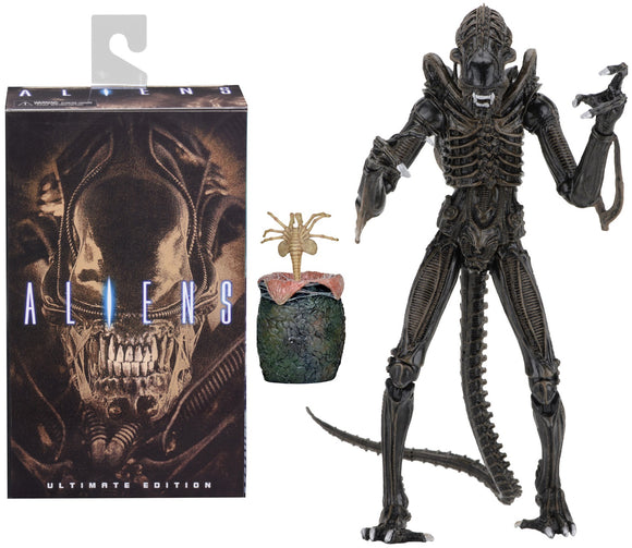 Aliens Ultimate Alien Warrior (1986) Brown Alien 7″ Scale Action Figures - NECA
