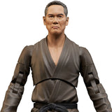 Cobra Kai Series 2 (Full Set of 3) Deluxe Action Figurea - Diamond Select