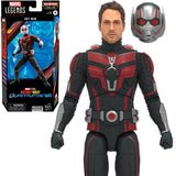 Marvel Legends Series Ant-Man & the Wasp: Quantumania Wave 1 (Case of 7 Figures) 6" Inch Action Figure - Hasbro